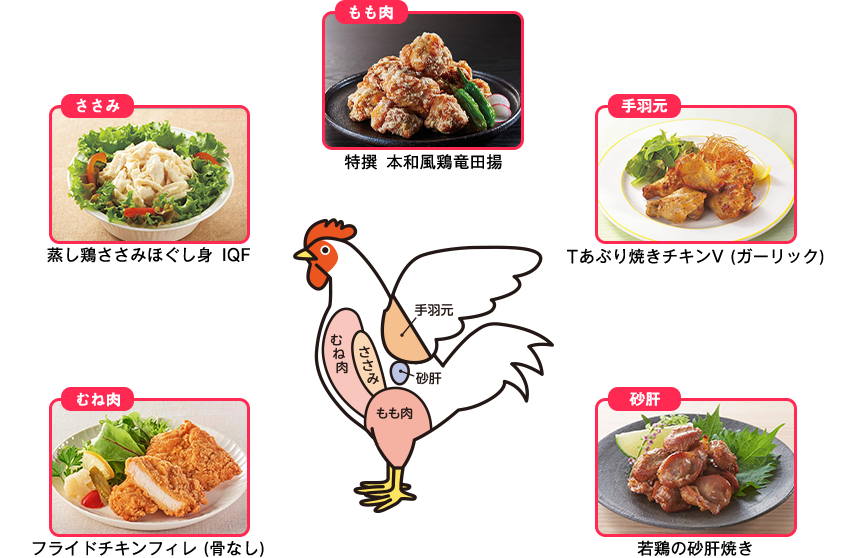 もも肉 特撰 本和風鶏竜田揚 手羽元 Tあぶり焼きチキンV（ガーリック） 砂肝 若鶏の砂肝焼き むね肉 フライドチキンフィレ（骨なし） ささみ 蒸し鶏ささみほぐし身 IQF