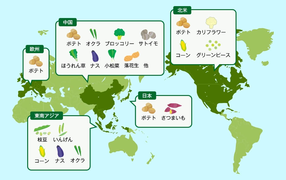 欧州 ポテト 中国 ポテト オクラ ブロッコリー サトイモ ほうれん草 ナス 小松菜 落花生 他 北米 ポテト カリフラワー コーン グリーンピース 日本 ポテト さつまいも 東南アジア 枝豆 いんげん コーン ナス オクラ