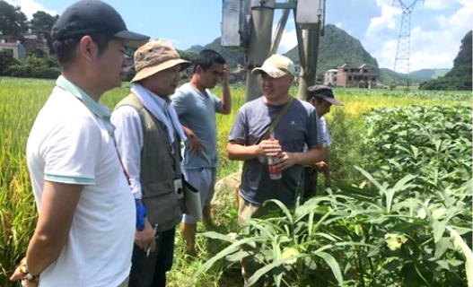 ニチレイフーズの冷凍野菜の強み2 厳正な品質管理
