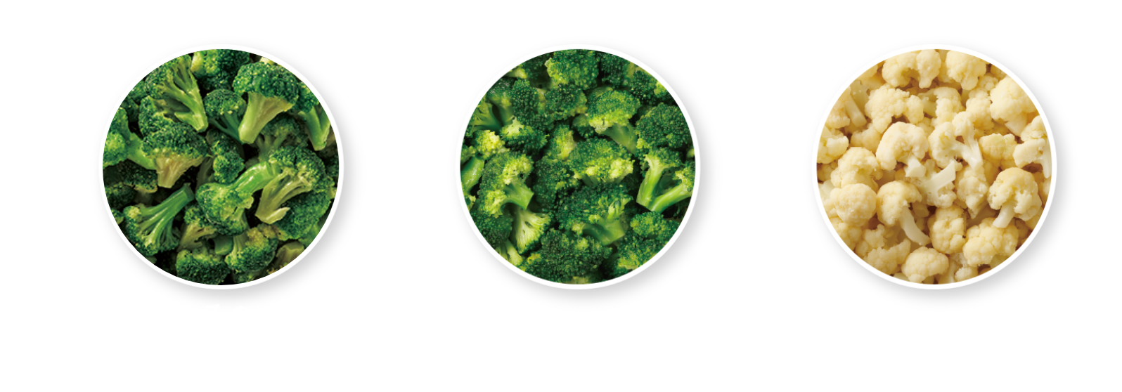 素材そのままブロッコリー　素材そのままミニブロッコリー　素材そのままカリフラワー