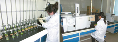 3 残留農薬の検査体制