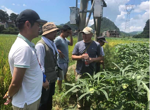 土壌改良への取り組み