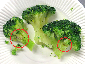 エッジランウェイが発生したブロッコリー