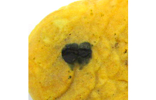 しばらく時間を置くと変色します