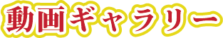 動画ギャラリー
