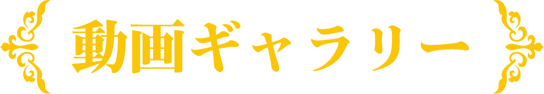 動画ギャラリー