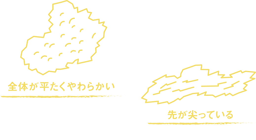 全体が平たくやわらかい 焙焼式生パン粉 先が尖っている 電極式生パン粉