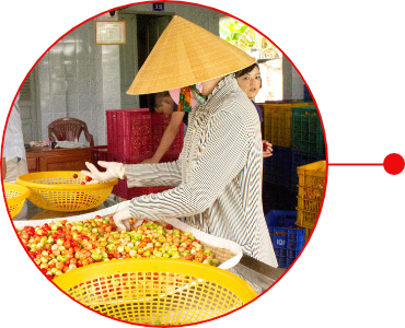 2013年 ベトナムに新たな拠点を設立