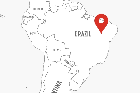 二アグロ（ブラジル）