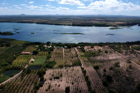 自社研究所で、独自の品種改良を行う