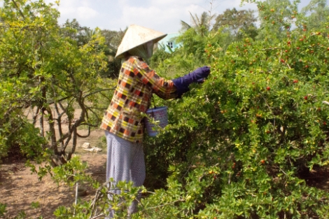 安心・高品質への取り組み