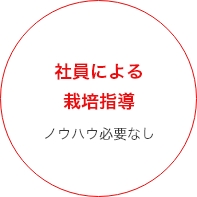 社員による栽培指導ノウハウ必要なし