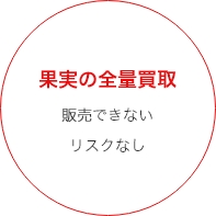 果実の全量買取販売できないリスクなし