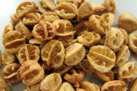 独自の研究で見いだした、アセロラの新しい価値