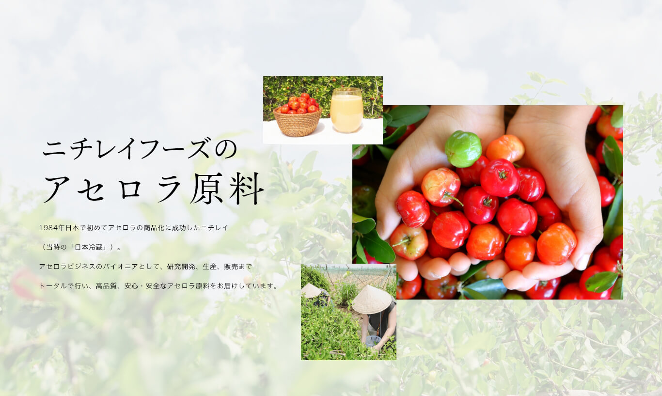 ニチレイフーズのアセロラ原料 1984年日本で初めてアセロラの商品化に成功したニチレイ（当時の「日本冷蔵」）。アセロラビジネスのパイオニアとして、研究開発、生産、販売までトータルで行い、高品質、安心・安全なアセロラ原料をお届けしています。