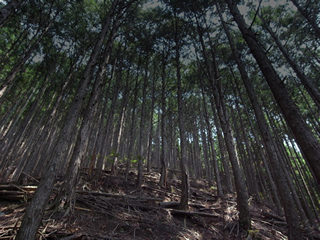 omoi_b3_before_photo