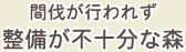 間伐が行われず整備が不十分な森