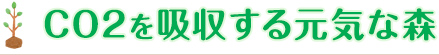 CO2を吸収する元気な森