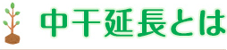 中干延長とは