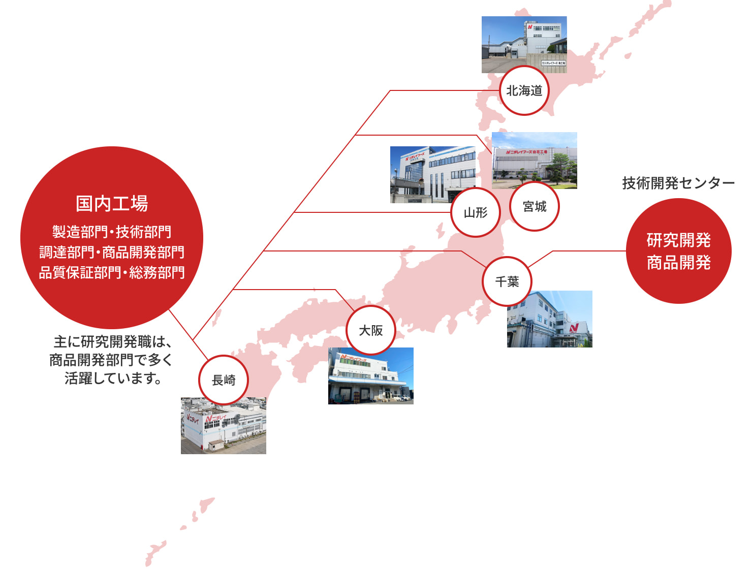 研究開発職の主な活躍フィールド